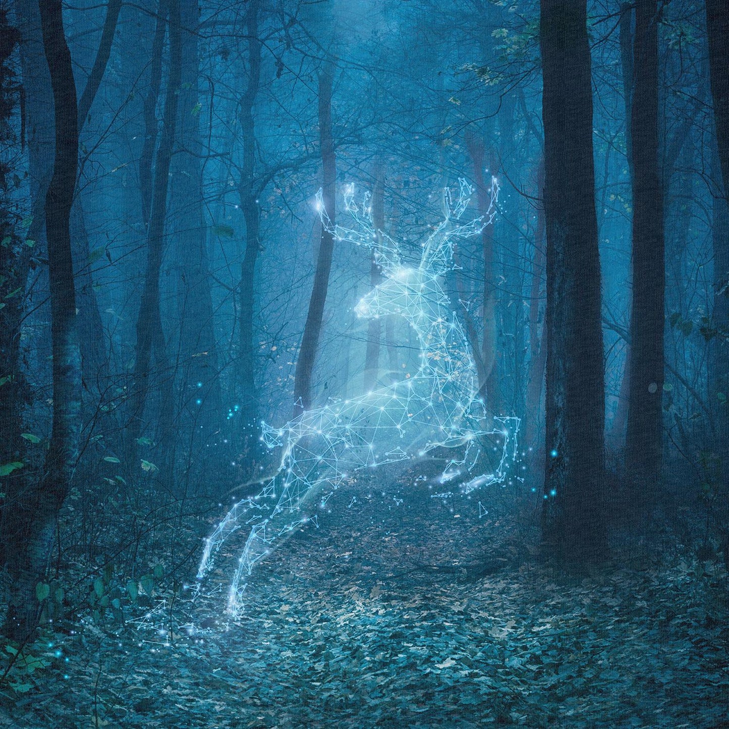 FÖRHANDSBOKNING! PANEL 55X73CM ÖGLAD COLLEGE - SKOGSANDAR