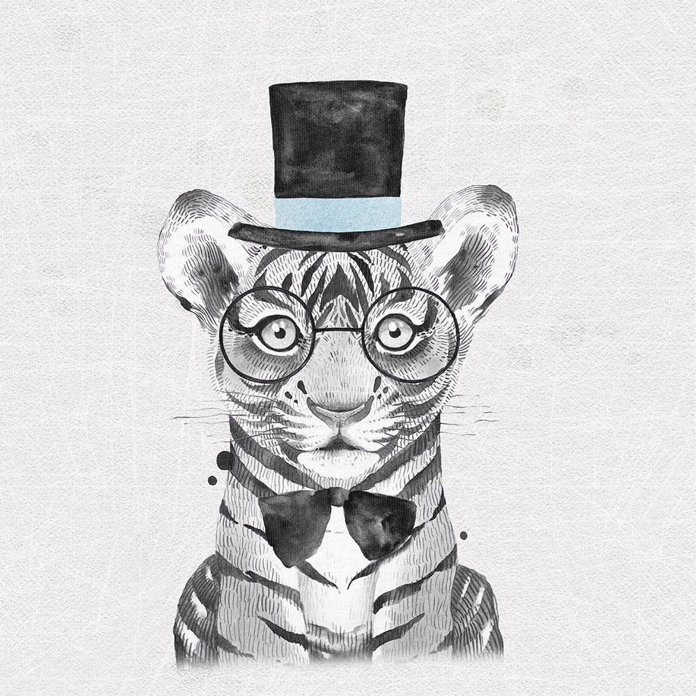 FÖRHANDSBOKNING 8! PANEL ÖGLAD COLLEGE - LJUSGRÅTT MATCHTYG GENTLEMAN TIGER