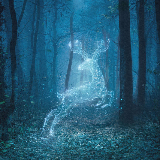 FÖRHANDSBOKNING! PANEL 55X73CM ÖGLAD COLLEGE - SKOGSANDAR