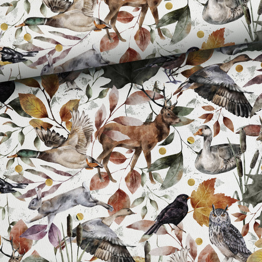 FÖRHANDSBOKNING! ÖGLAD COLLEGE - HÖST VID SJÖN VITA DJUR