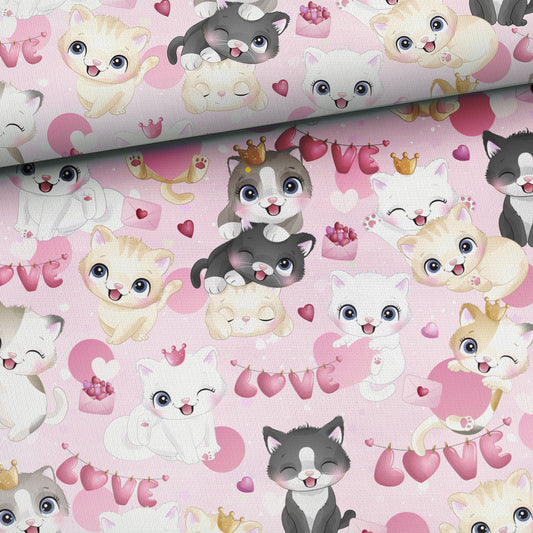 FÖRHANDSBOKNING! ÖGLAD COLLEGE - FÖRÄLSKADE KATTUNGAR