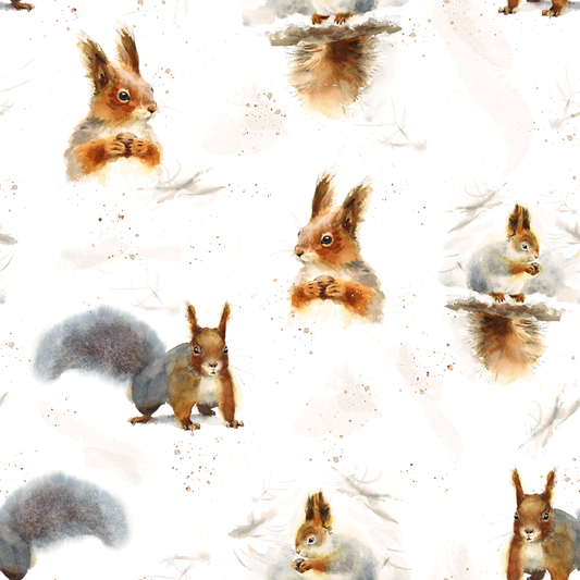 SISTA BITEN! ÖGLAD COLLEGE - SQUIRREL & NUT 75CM