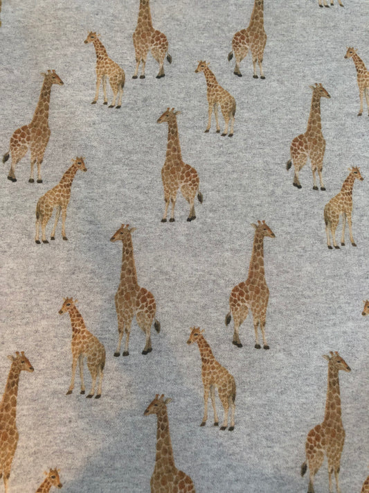 LR 50% BORSTAD COLLEGE - GIRAFFER