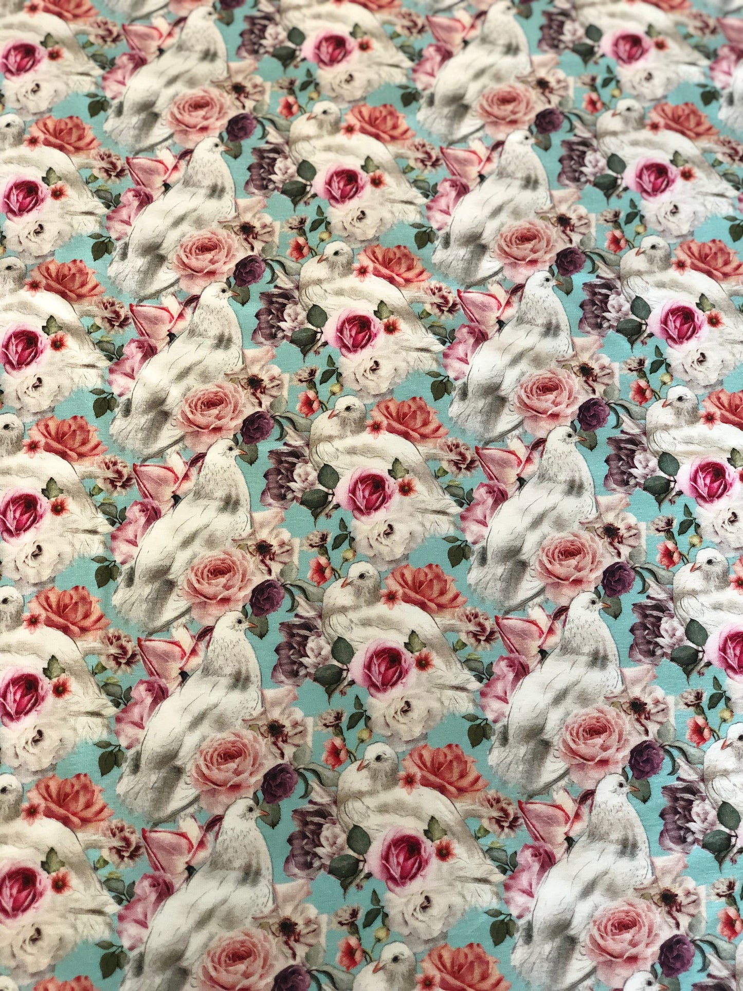 LR 50% JERSEY WHITE PIGEON IN BLUE